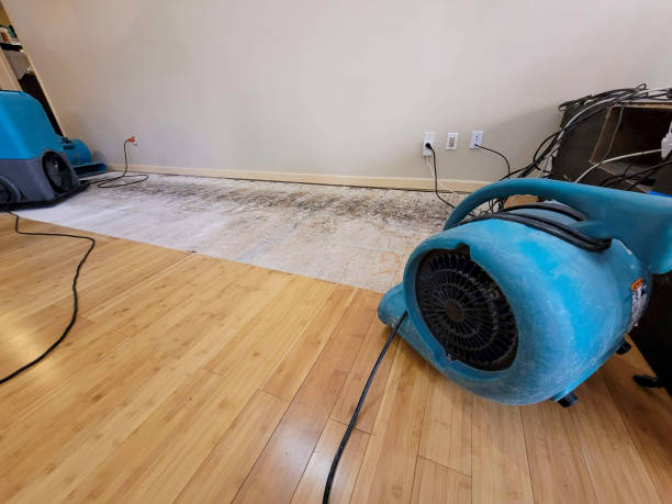 Professional Structural Drying technician working in Reno, NV